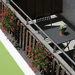ル ダフ ホテル 2*